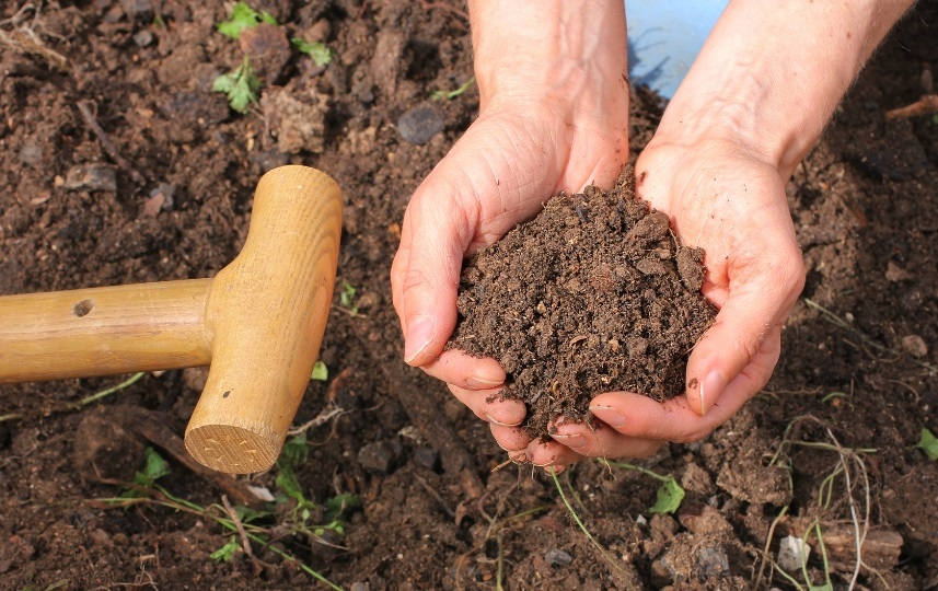 Mão segurando terra